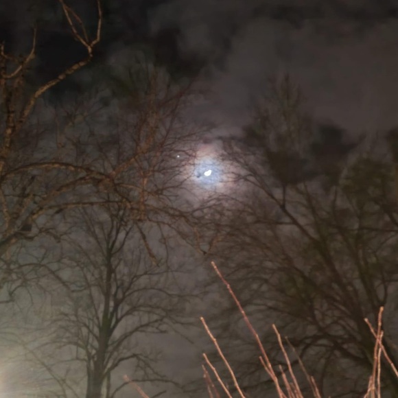 Meet your Posher,Aubree - Picture 8 of 12